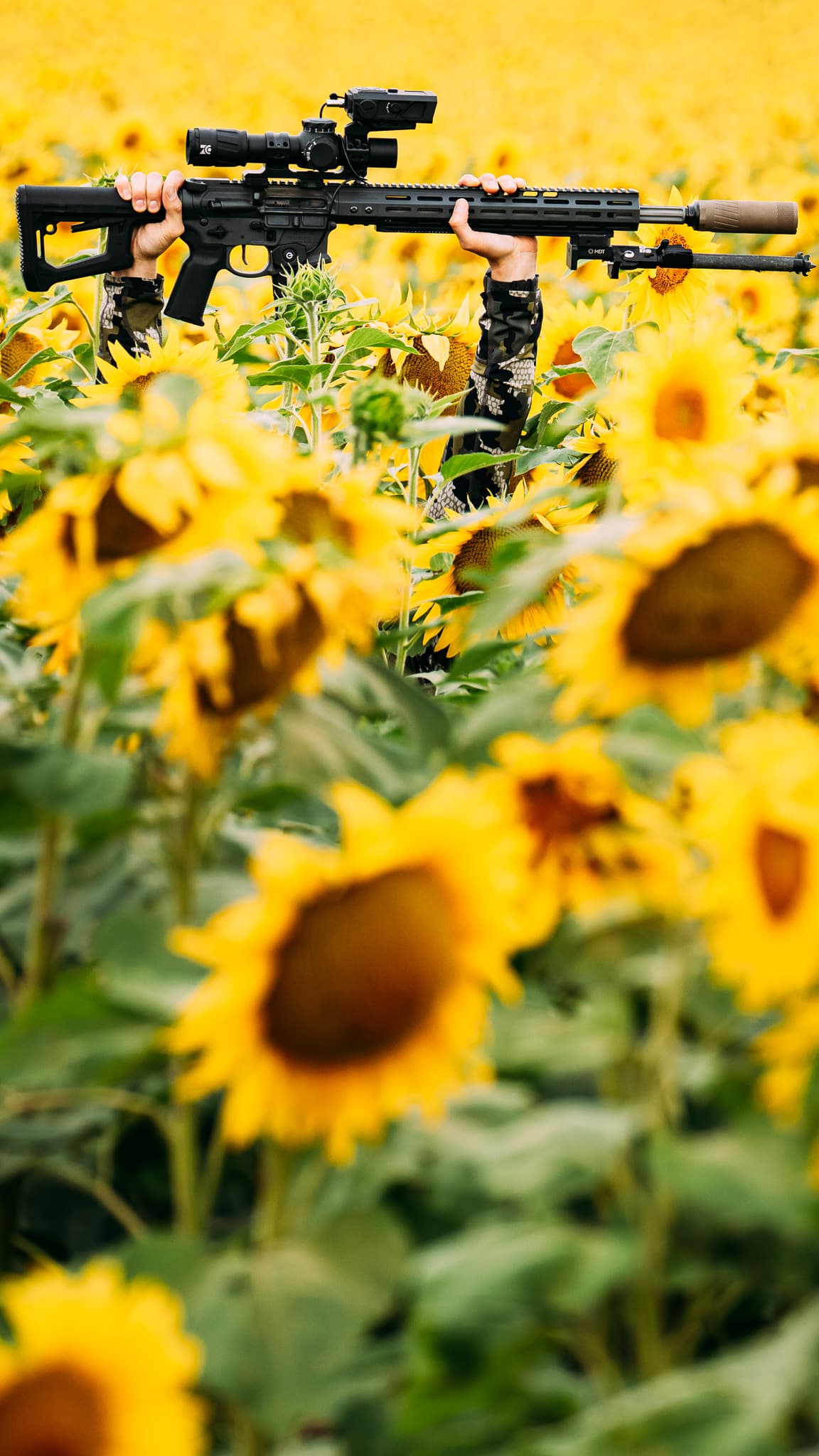 Slide image (mobile)