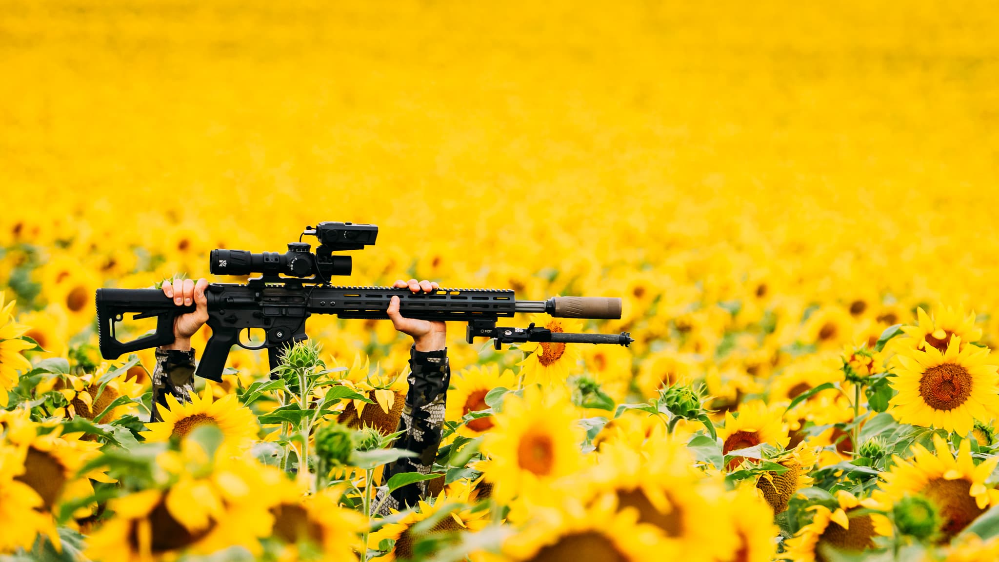 Slide image (desktop)